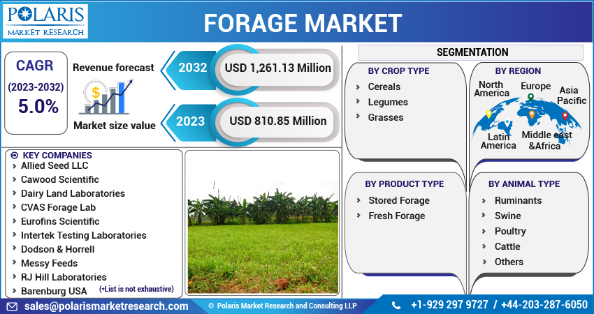 Forage Market Share, Size, Trends